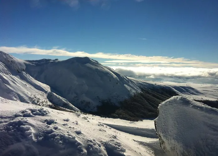 アパート Boston *